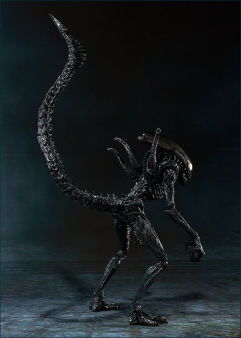 Bandai Releases Details for S.H. MonsterArts Alien vs Predator Figures ...